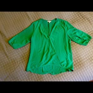 Naked Zebra 3/4 Length Sleeve Sheer Blouse